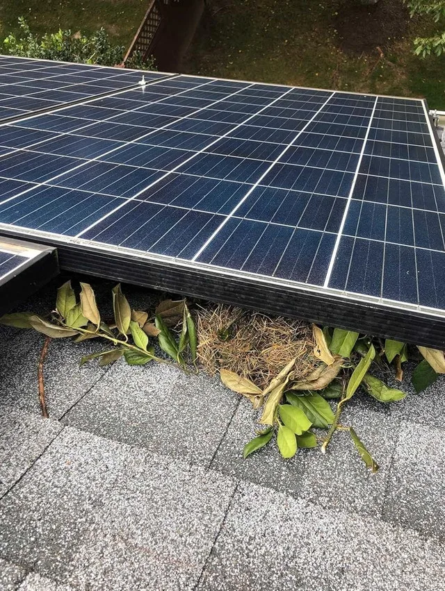 Squirrel Guard Kit. 6 in. 100 ft. image indicator(5)