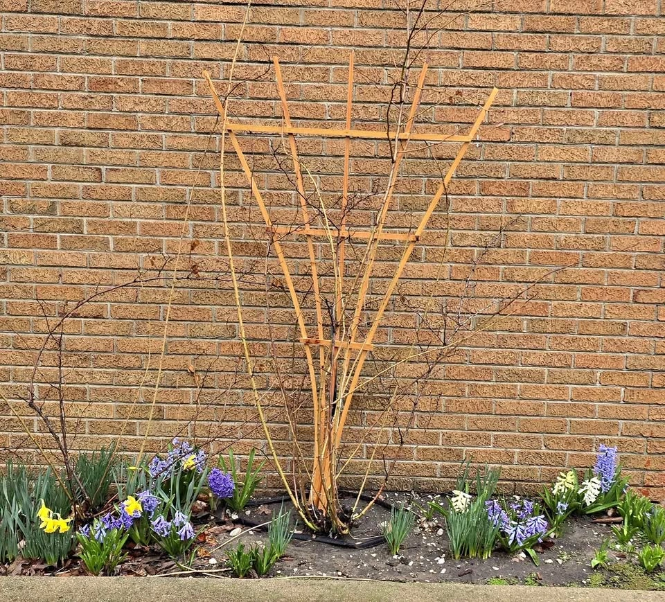 Handmade Cedar Trellis