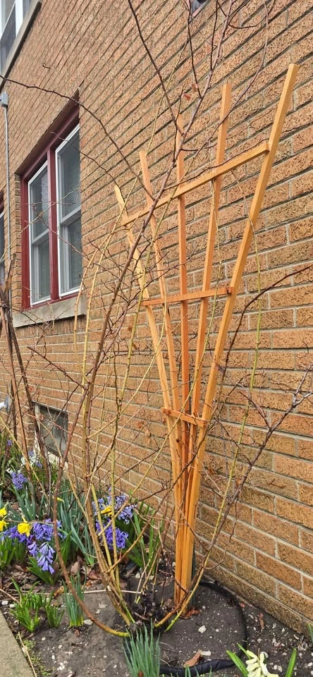 Handmade Cedar Trellis - photo 3