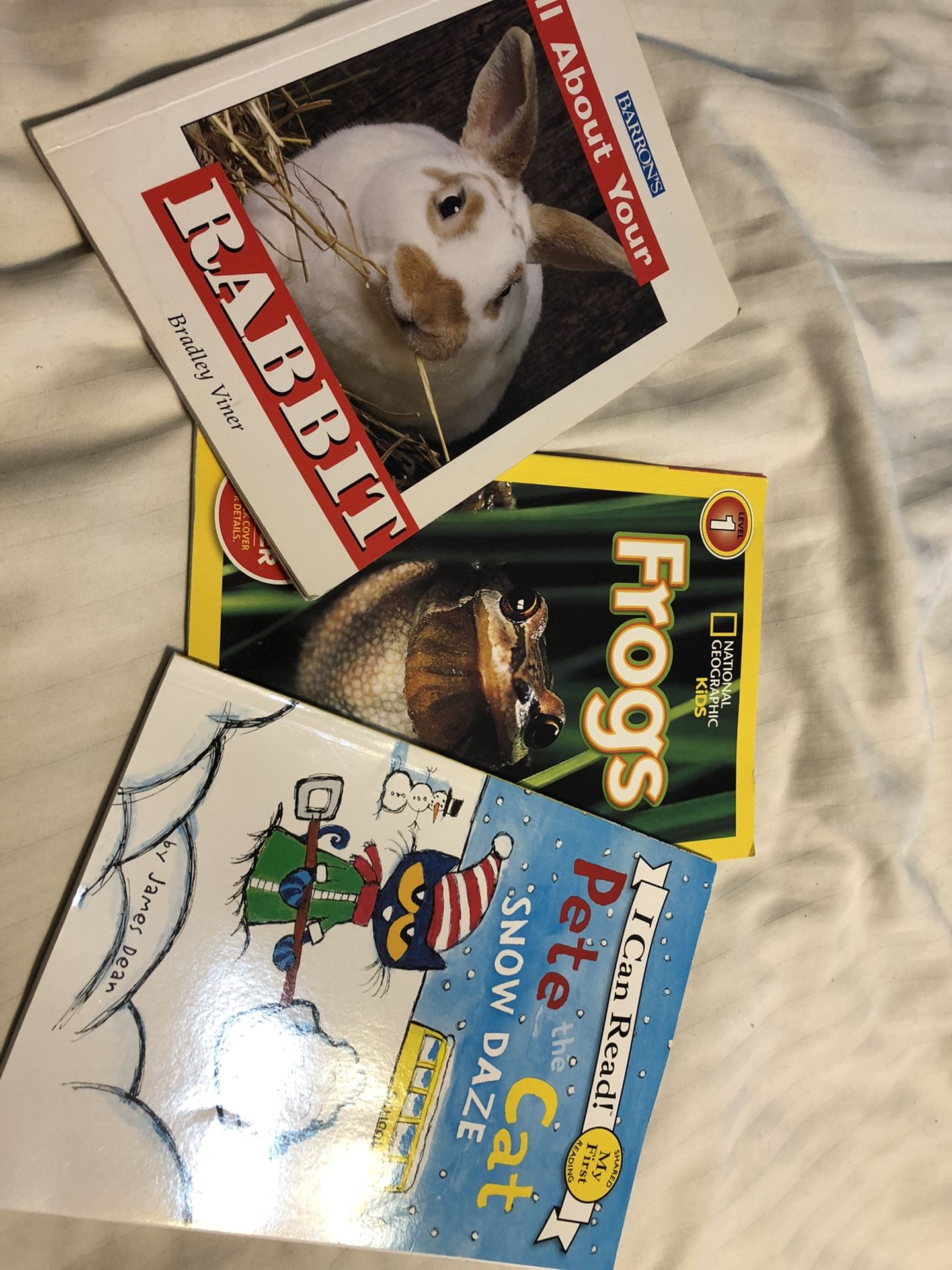 Assorted Children's Books - photo 4