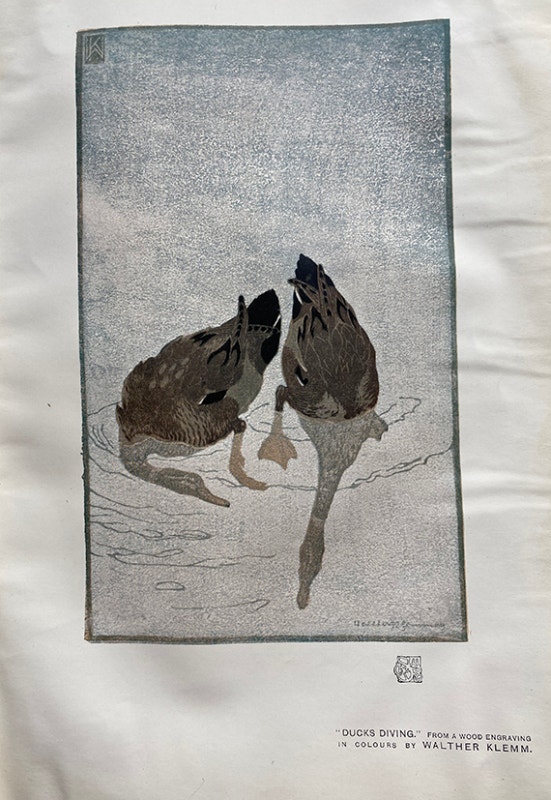 The Illustrated Studio Magazine of Fine & Applied Art 1907-1914 - photo 2