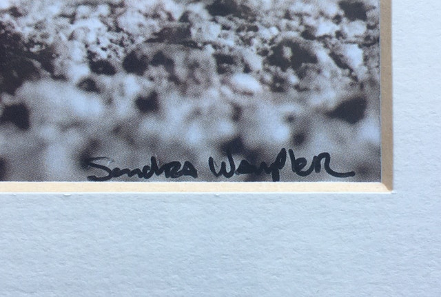 Sondra Wampler Numbered Prints on Wooden Frames - photo 2