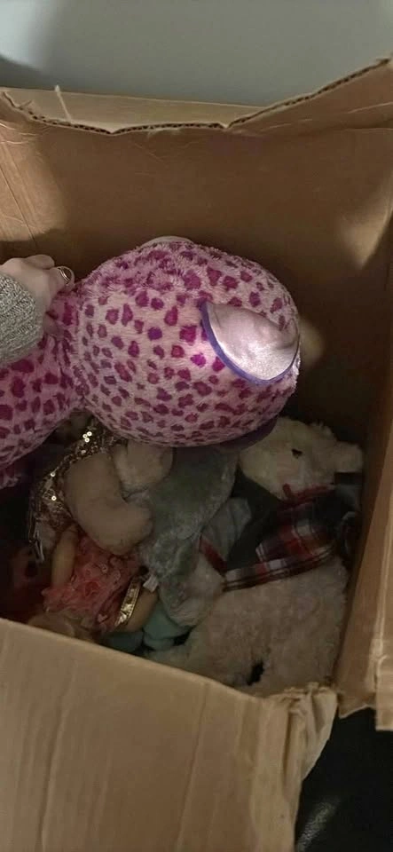 Box of Stuffy’s