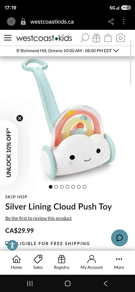 Skip Hop Silver Lining Cloud Rainbow Push Toy