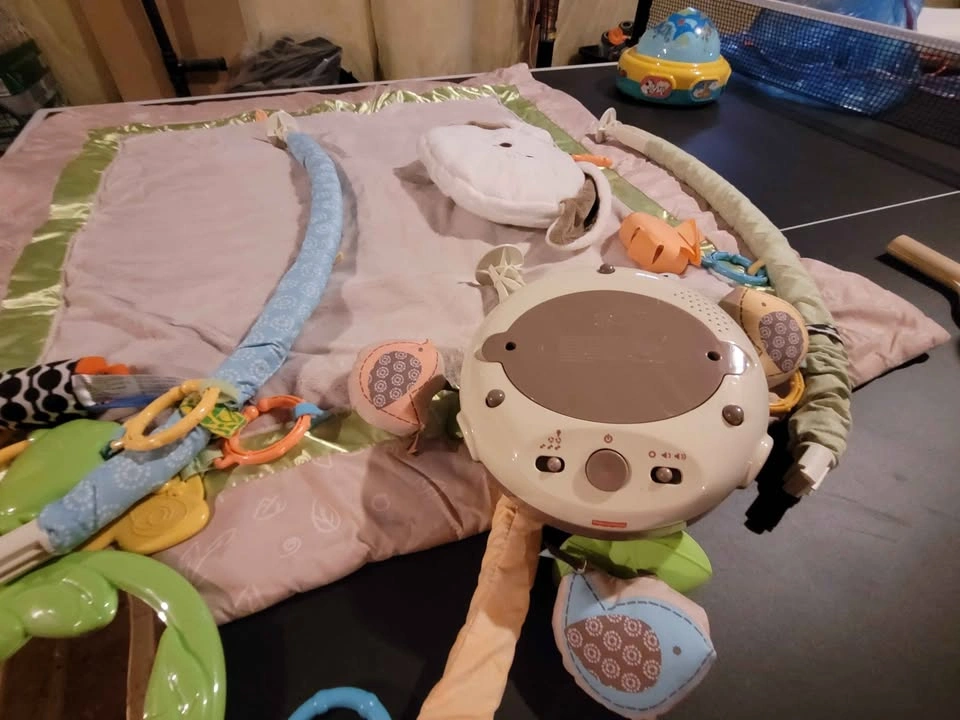 Fisher-Price My Little Snugabunny Musical Gym - photo 3