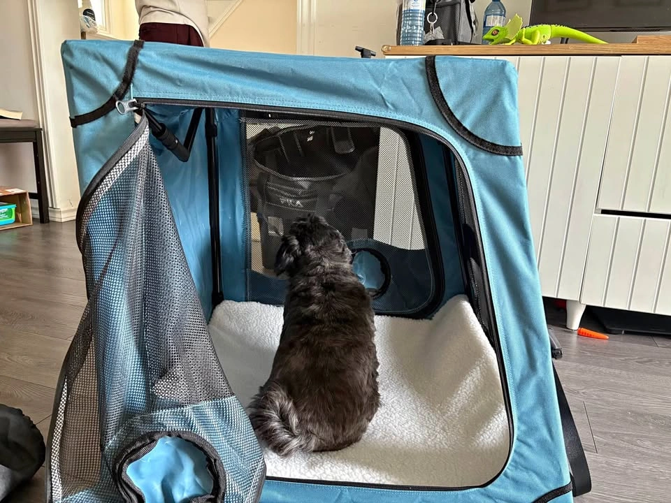 Snagle Paw Dog Crate for Car Travel