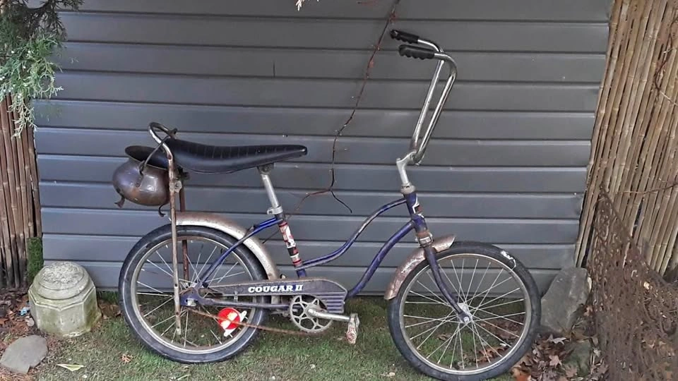 Vintage Banana Seat Bike