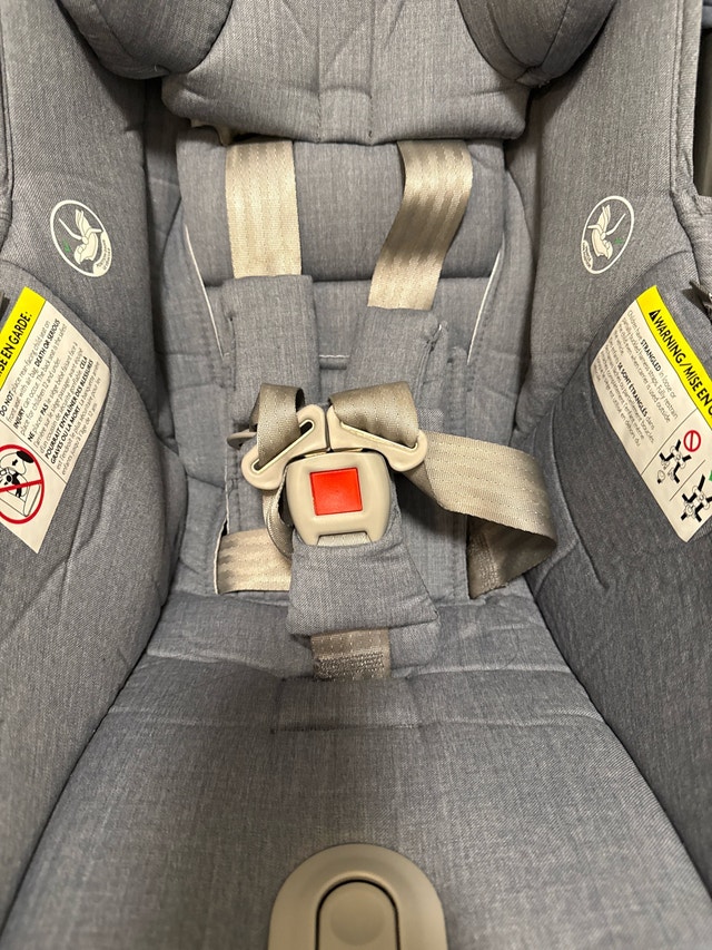 UPPAbaby Mesa Car Seat - photo 2