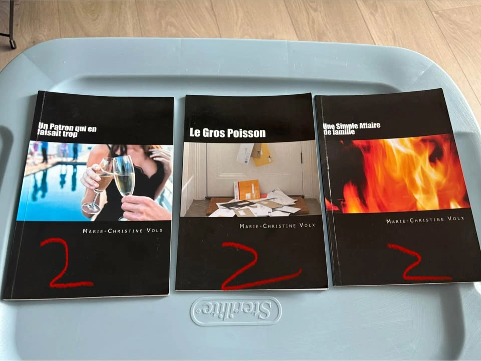 French Textbooks & Story Books Lot - photo 2