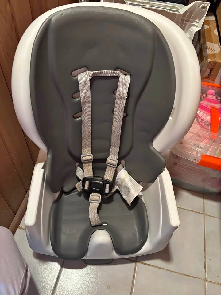 Ingenuity Convertible High Chair