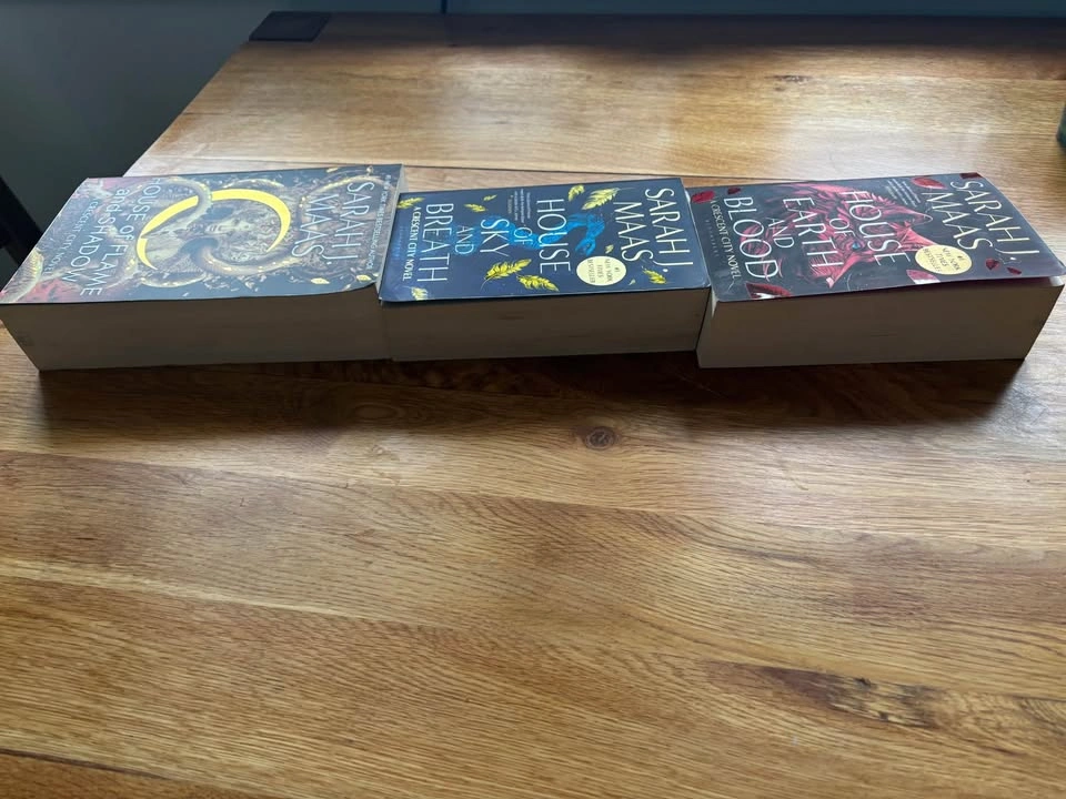 Sarah J Maas Crescent City Books 1-3 - photo 2