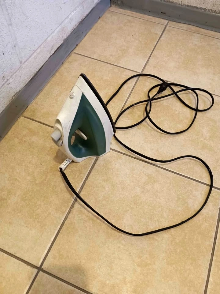 Proctor Silex Steam Iron