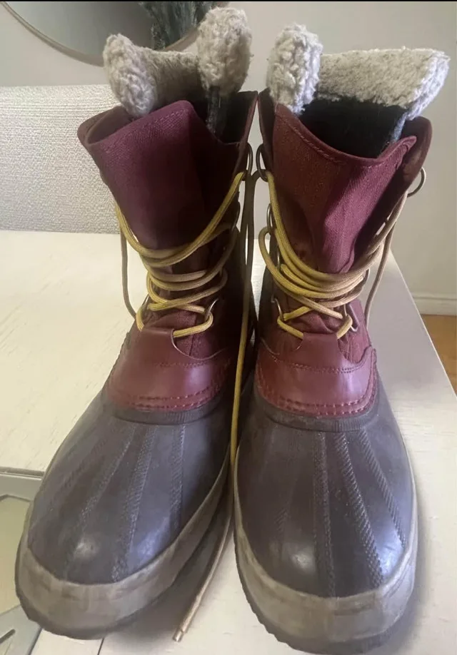 The Carnival™ image indicator(2)