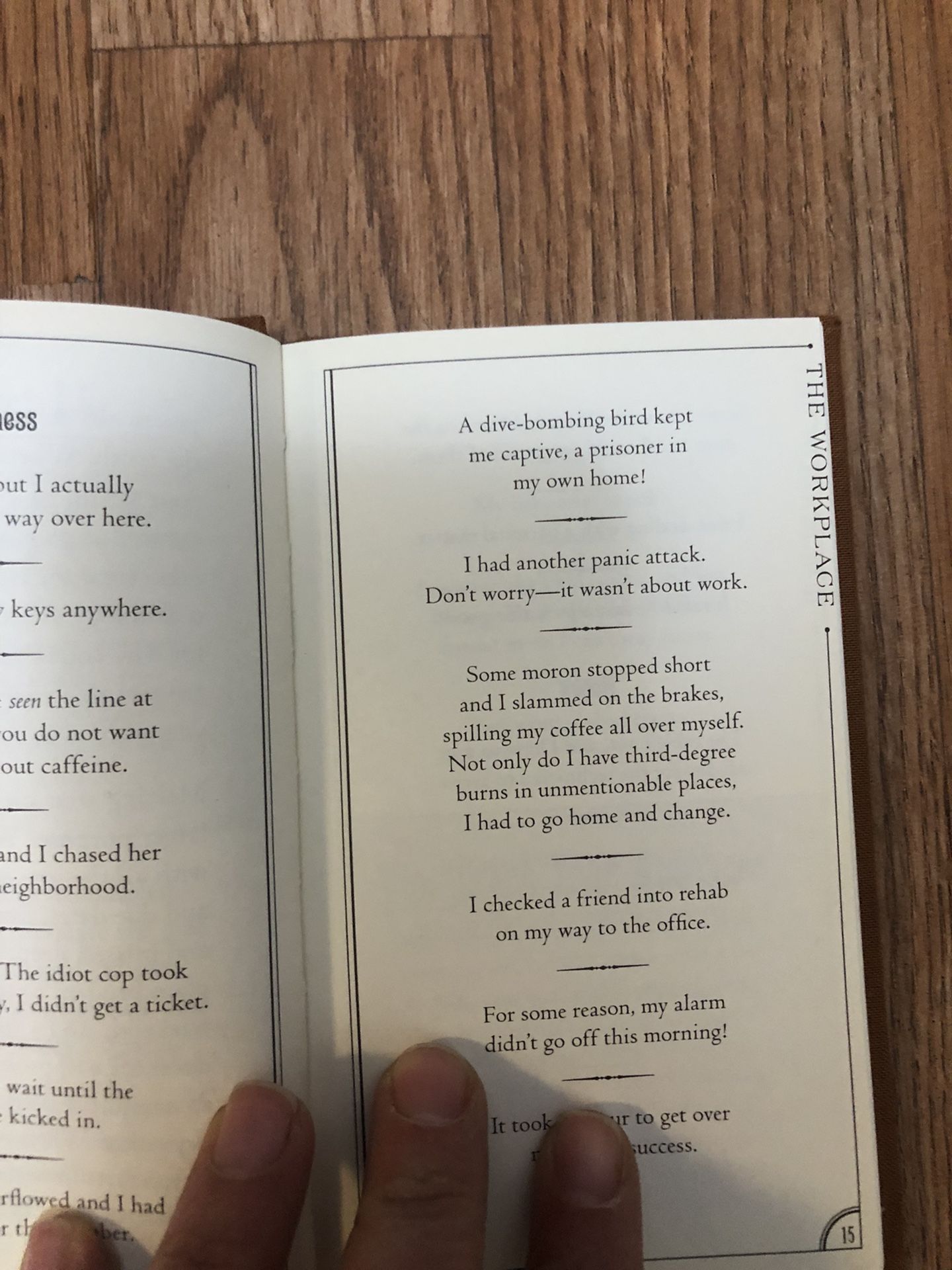 Pickups And Come-ons + Excuses And Lies Books - photo 4