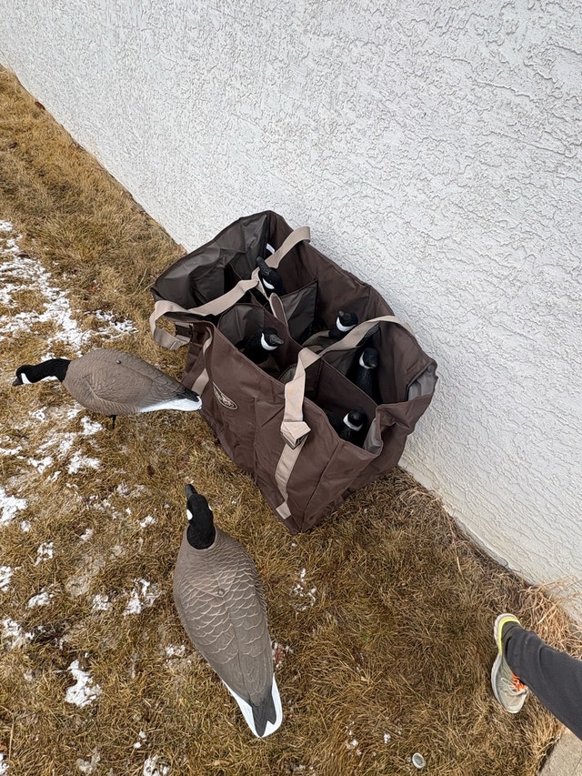 15 Goose Decoys and Slotted Bag (New)