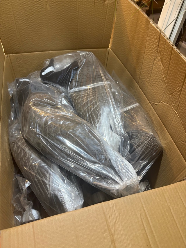 Alberta Owned Goose Decoys - photo 5