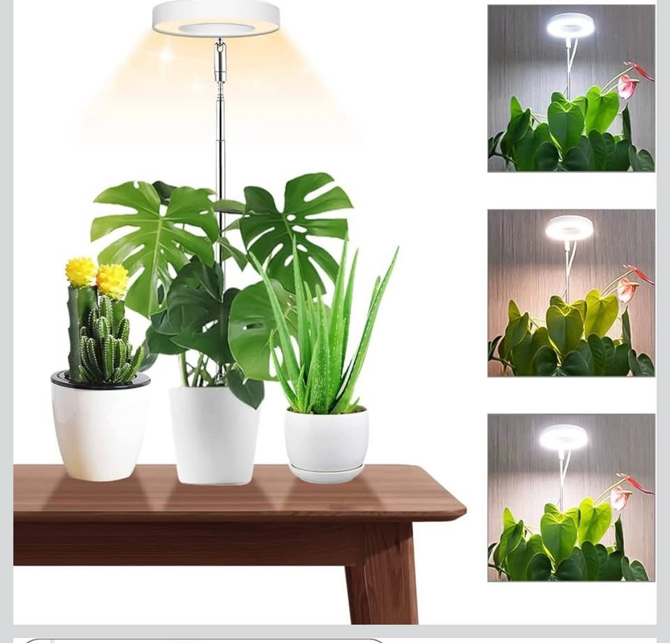 Upgrade Halo Grow Light for Indoor Plants - photo 3