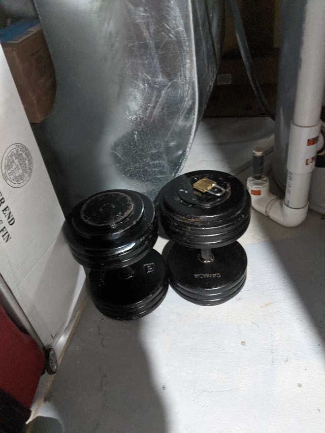 70lb dumbbells 60 each or both for 100