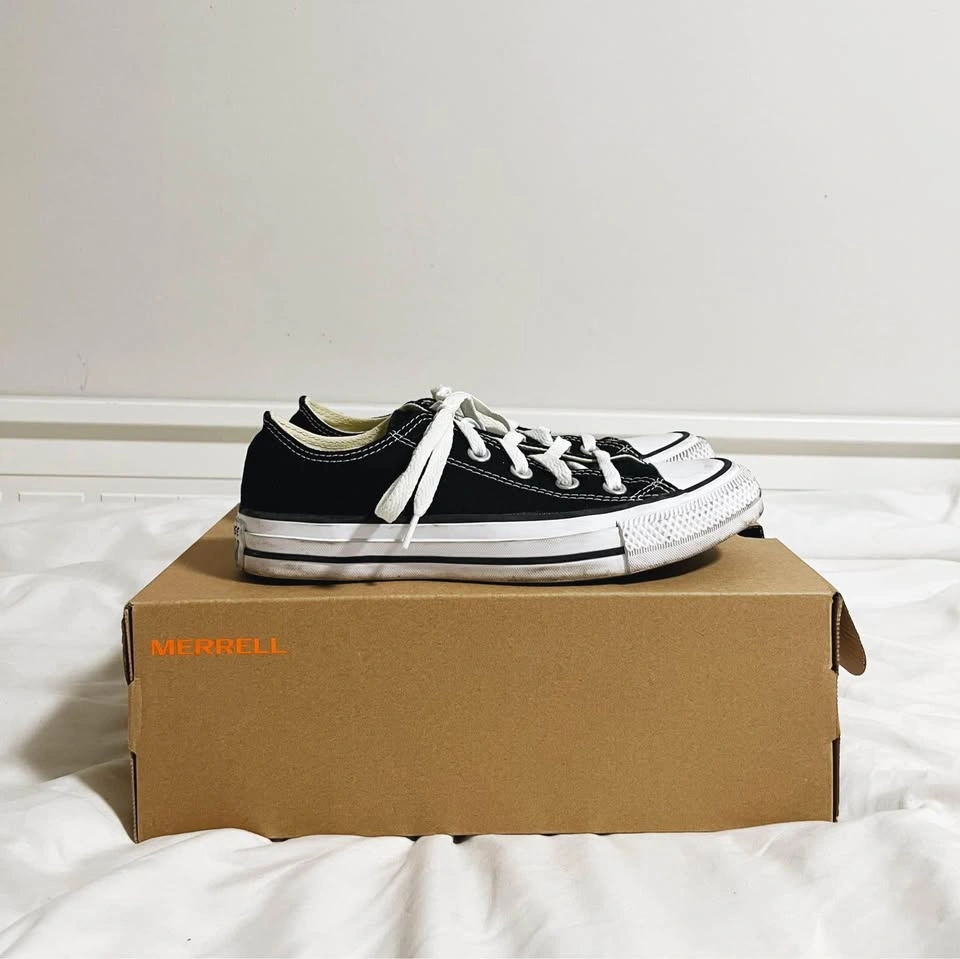 Converse Chuck Taylor All Star Low Tops