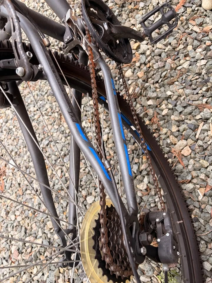 Supercycle Surge W/ Light & Lock - photo 3