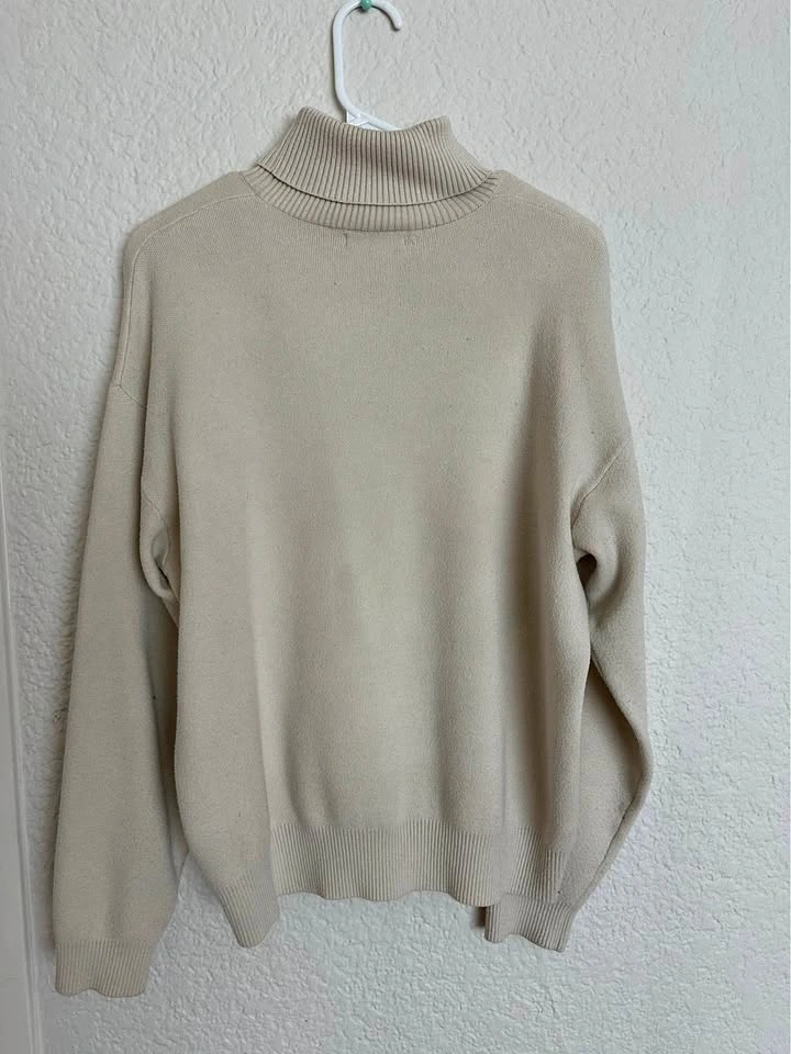 Zara Turtle Neck Sweater