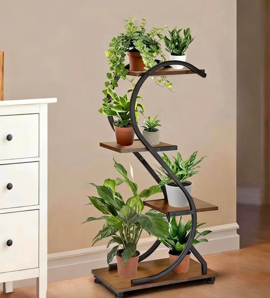 Plant Display Stand