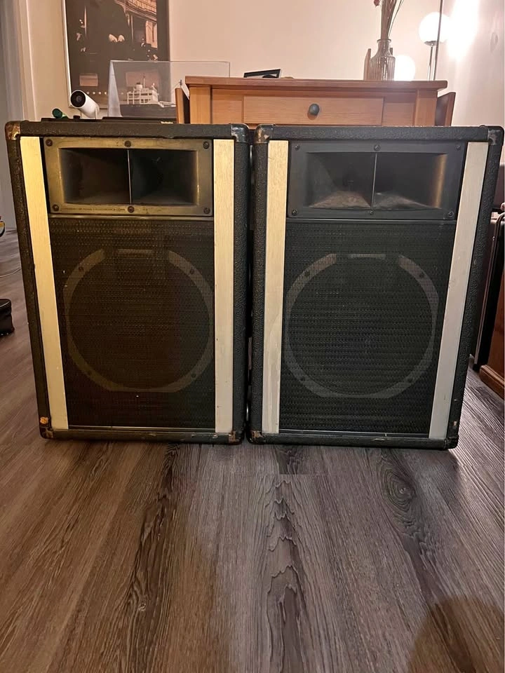 Peavey 112H Loudspeakers (Set of 2)