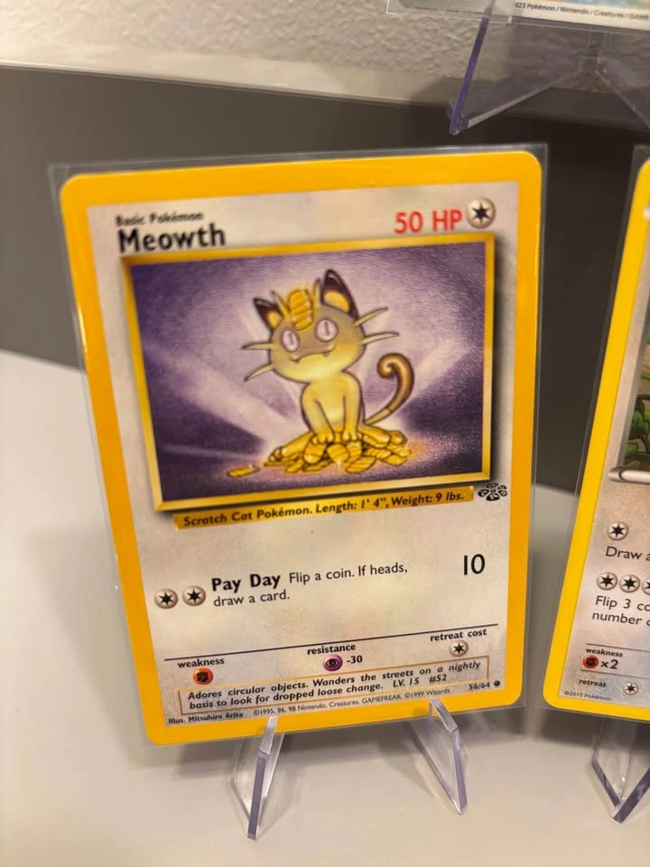 MEOWTH! - photo 5
