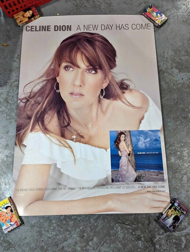 Vintage Rare 2002 Celine Dion Massive Promo Poster