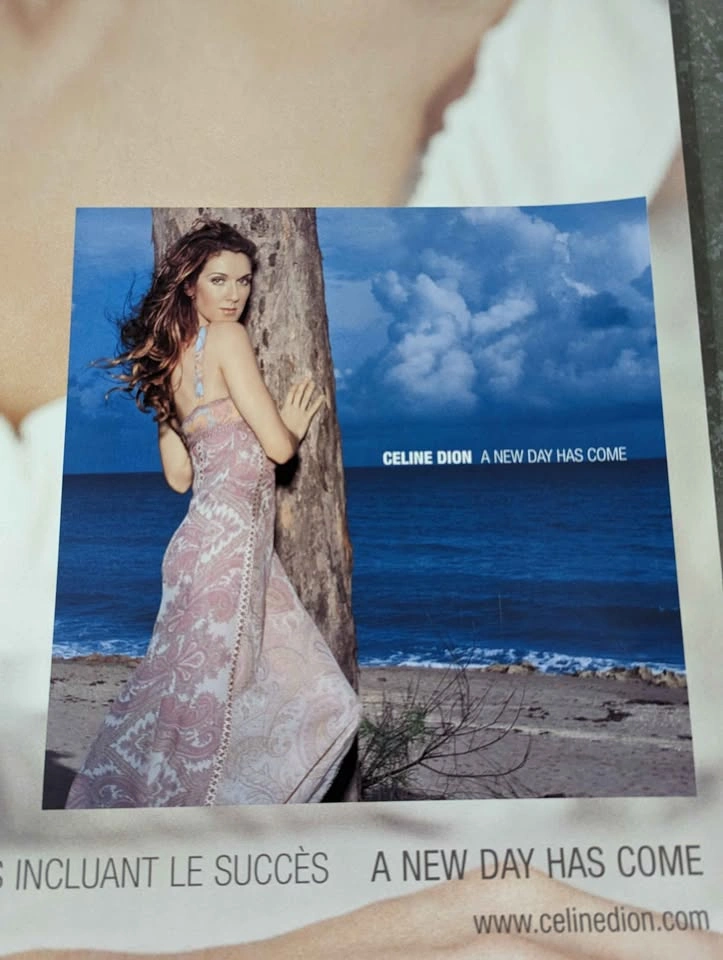 Vintage Rare 2002 Celine Dion Massive Promo Poster - photo 2