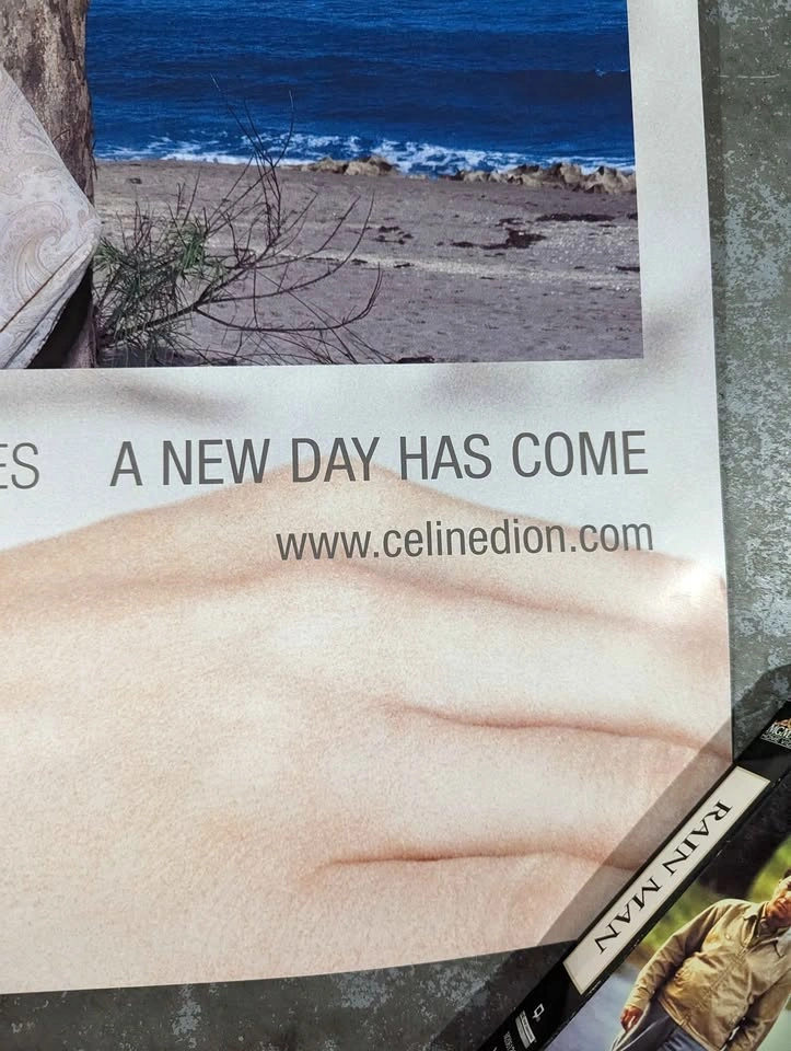 Vintage Rare 2002 Celine Dion Massive Promo Poster - photo 5