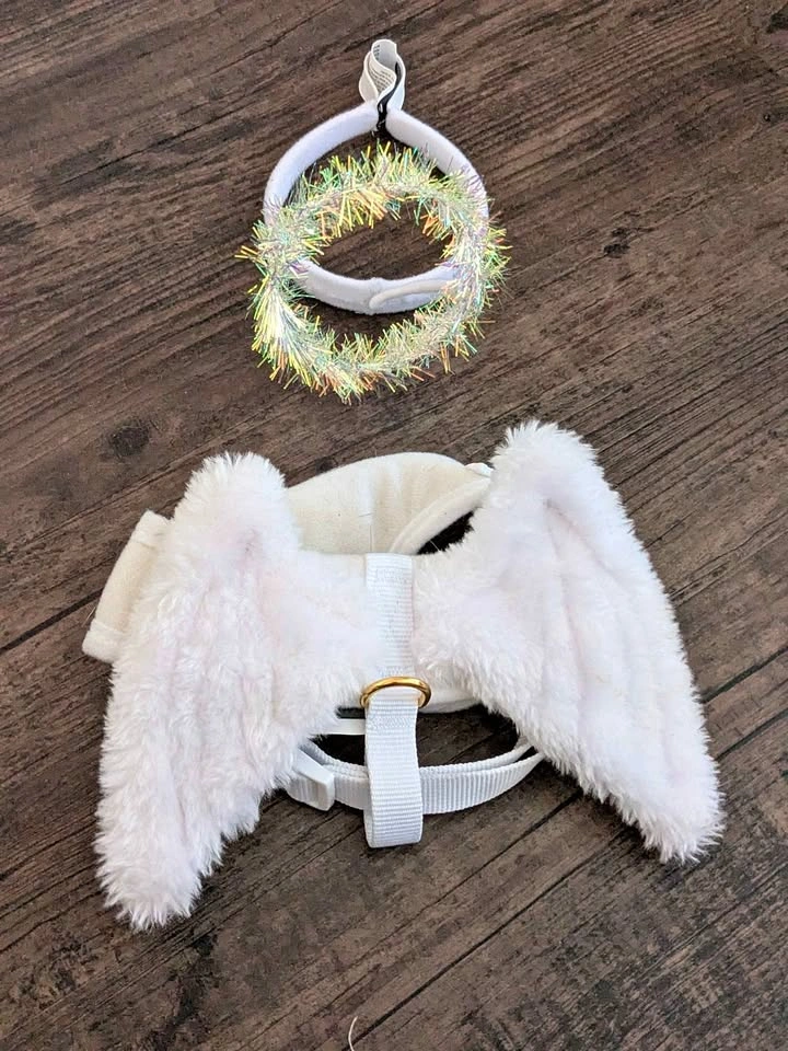 Pet Costume, Angel with wings and halo