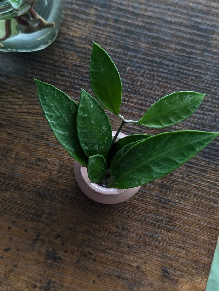 Cuttings Purge Update - photo 2