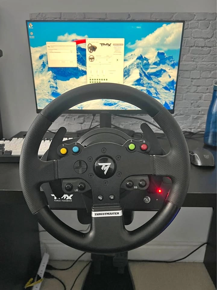 Thrustmaster TMX (NEED GONE)