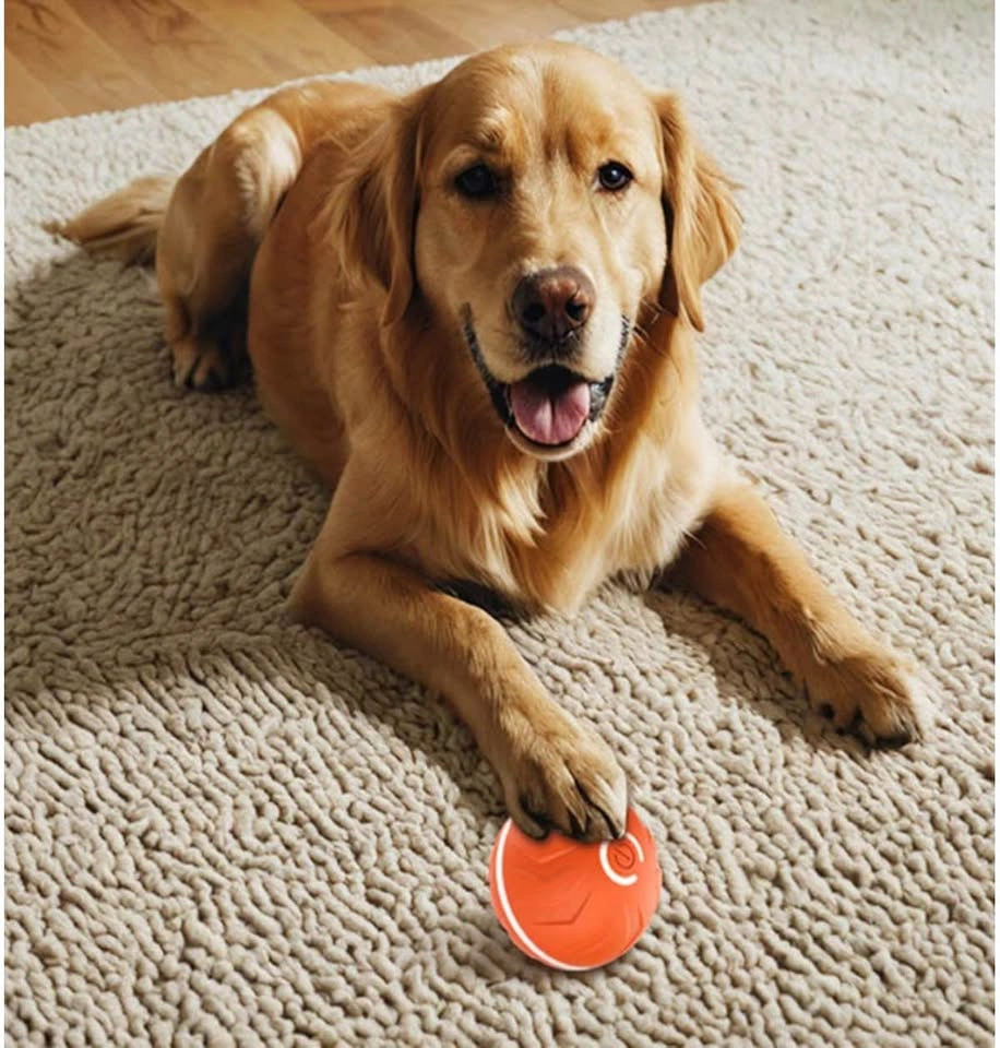 Brand New Rechargeable Bouncing Ball – Interactive Dog Toy (Oran - photo 3