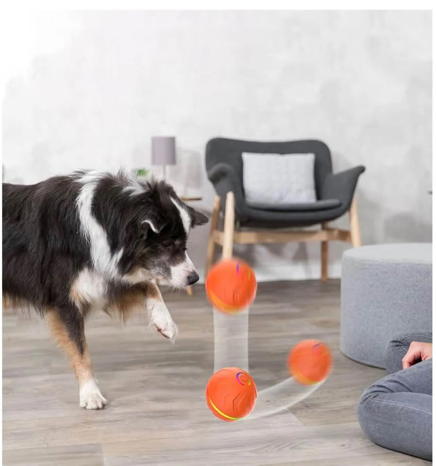 Brand New Rechargeable Bouncing Ball – Interactive Dog Toy (Oran - photo 4