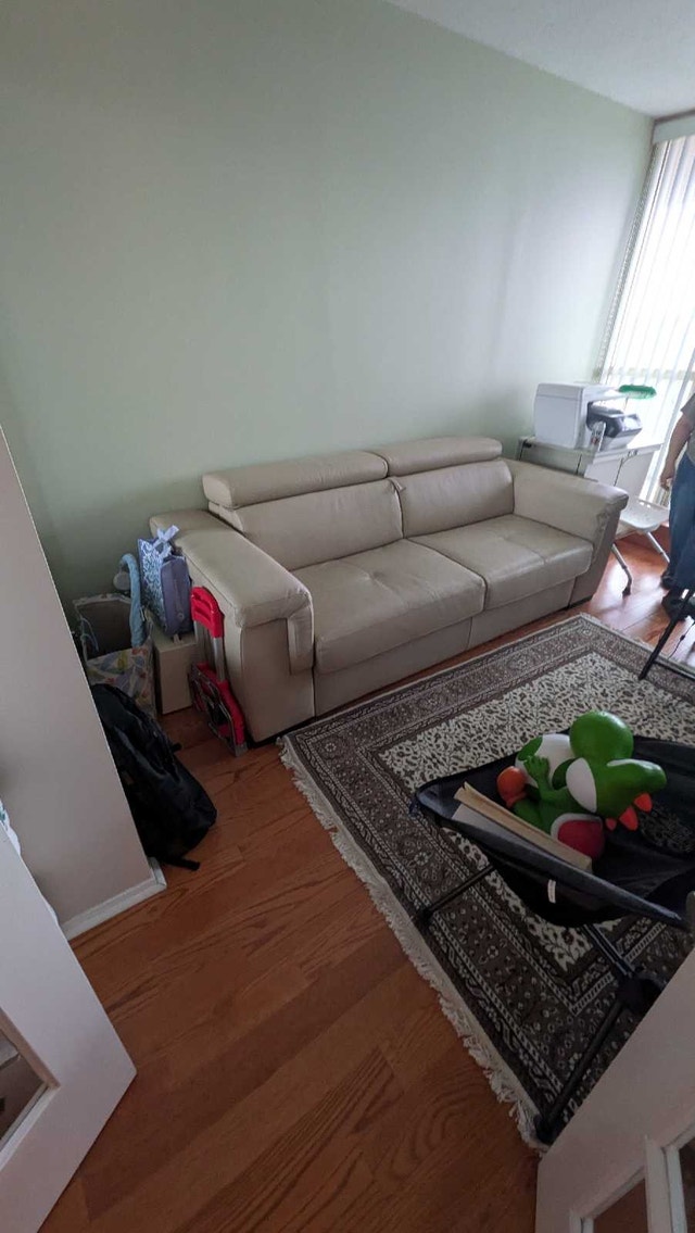 Brand New Sofa bed - photo 2