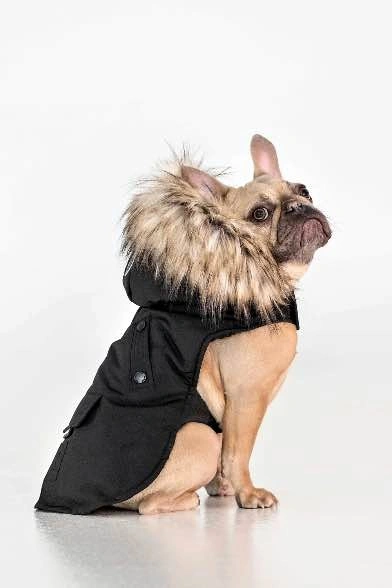 NOIZE Karter Dog Coat / Jacket L/XL