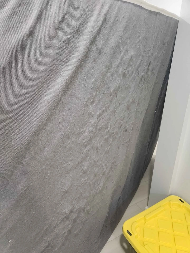 Queen 5" Foam Mattress - Guest Bed / Daybed - photo 3