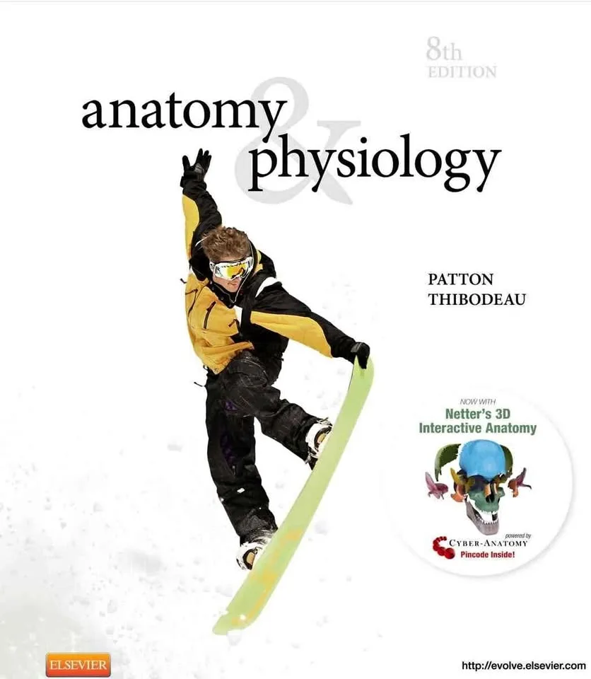 Anatomy and Physiology 8th Edition thumbnail