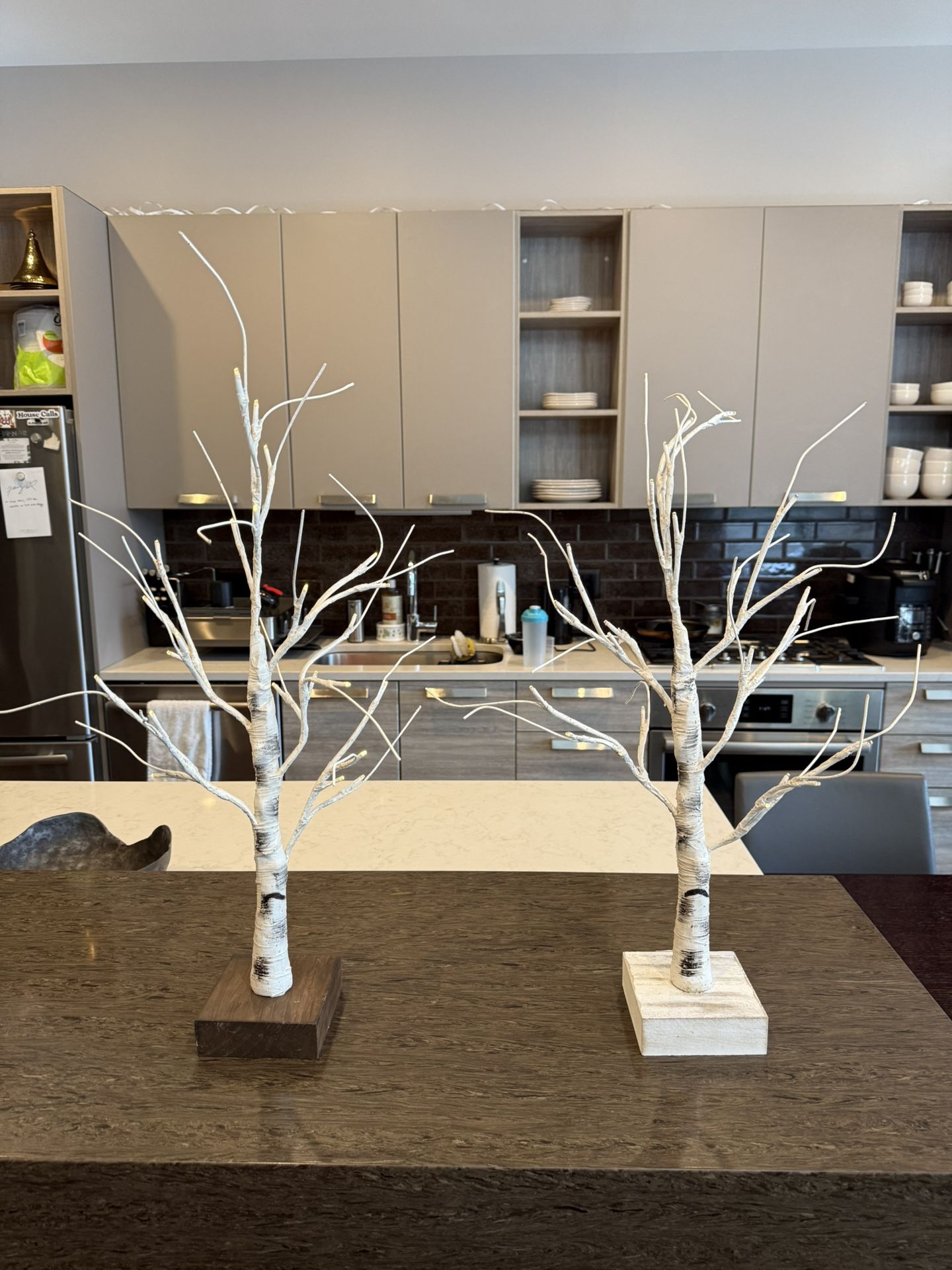 24 inch LED Lighted Birch Tree Set (2)