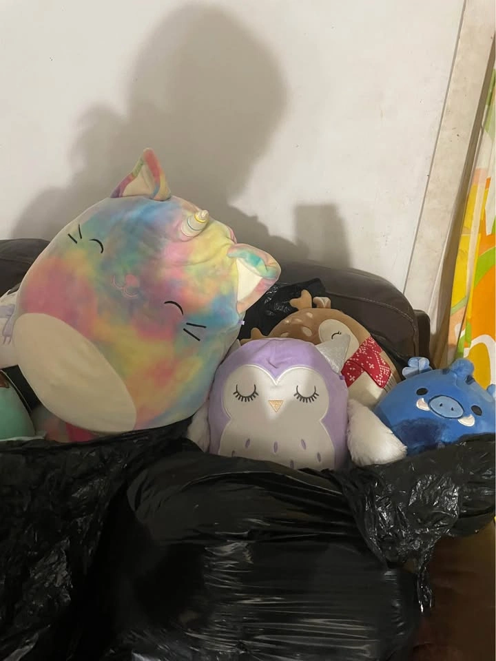 Squishmallows - photo 2