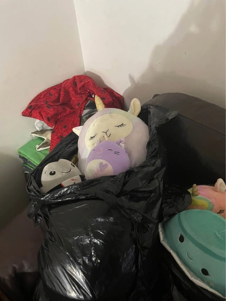 Squishmallows - photo 5