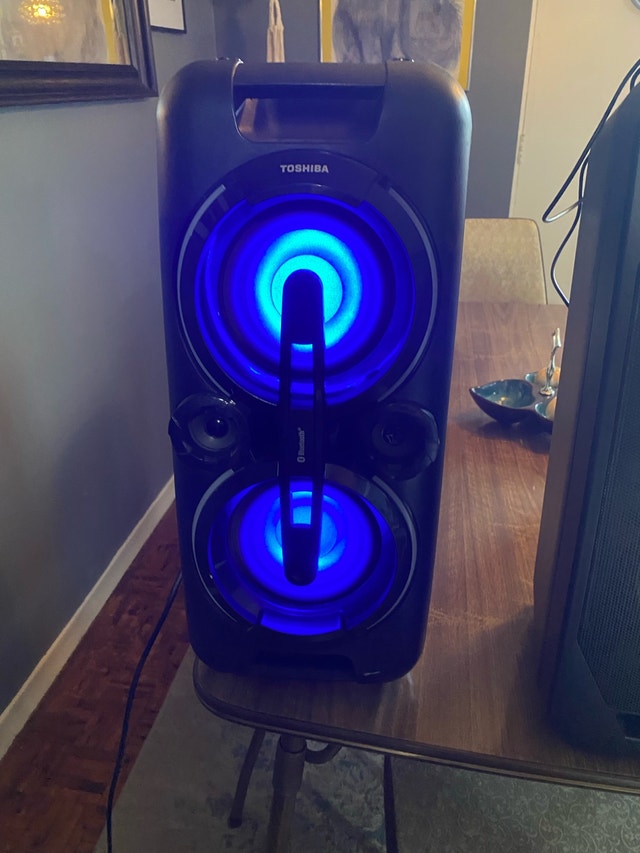 Toshiba Bluetooth Party Speakers