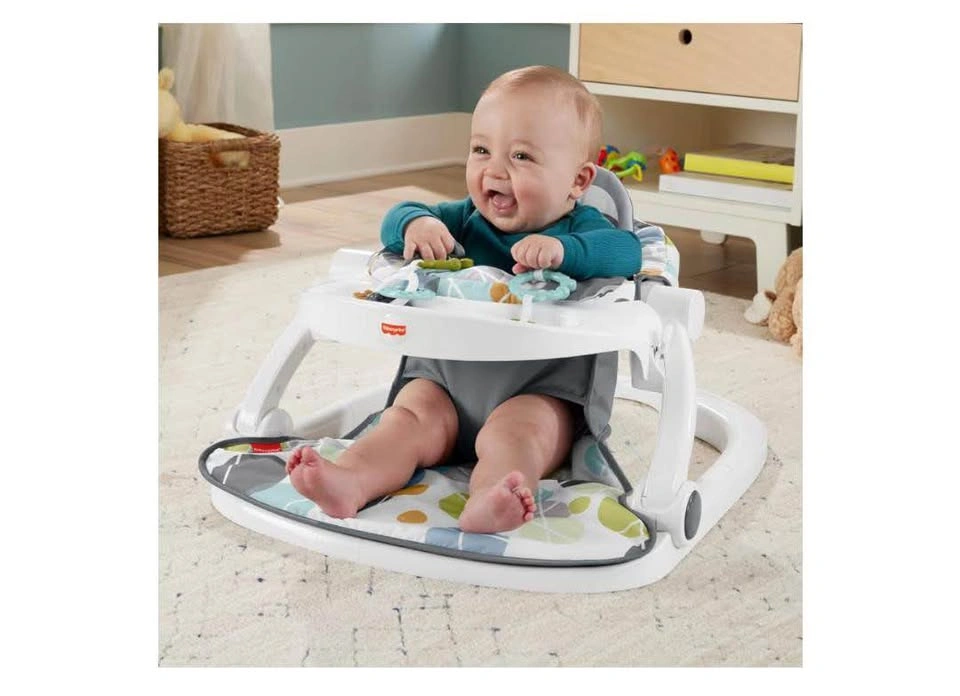 Fisher-Price Portable Baby Chair - photo 2