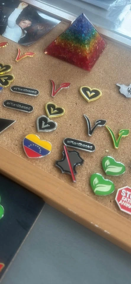 Vegan Plant-Based Pins & Decals - photo 2