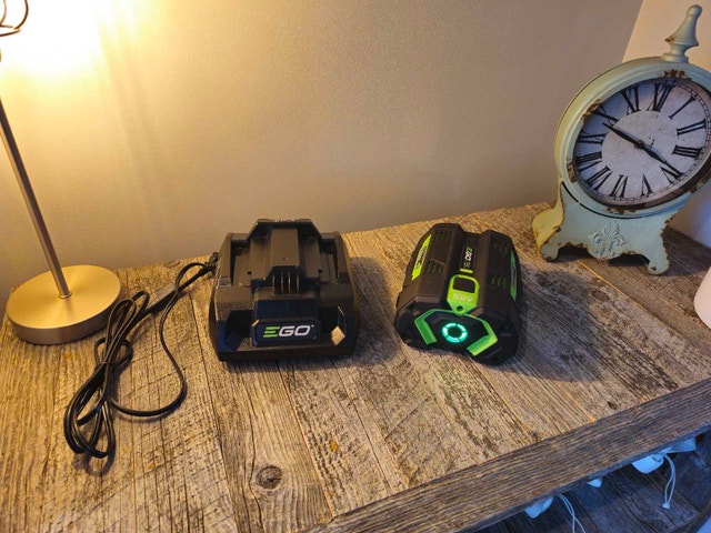 EGO 5 AH BATTERY AND 320 W CHARGER - photo 2