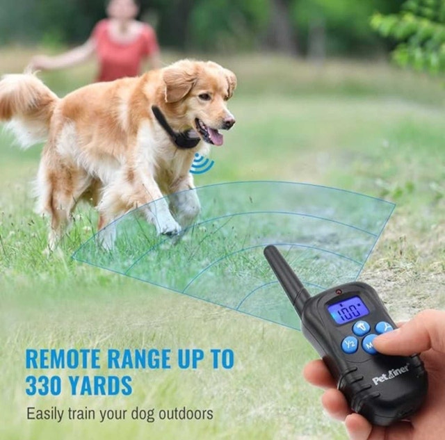 Dog Training Collar With Remote Rain Proof