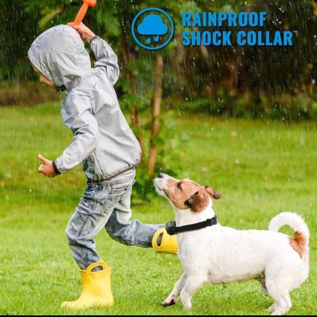 Dog Training Collar With Remote Rain Proof - photo 4