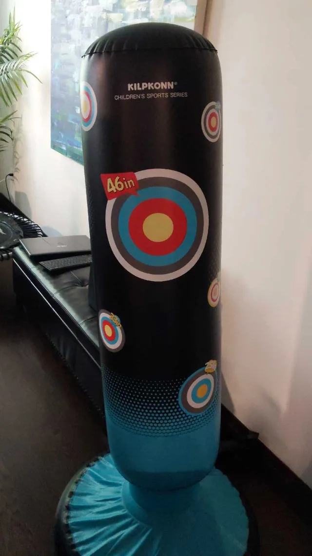 Kilpkonn Punching Bag and Gloves thumbnail